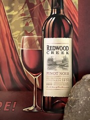 18×24 Redwood Creek WINE POSTER Art Advertising *Hiker *Giant Redwoods Trees