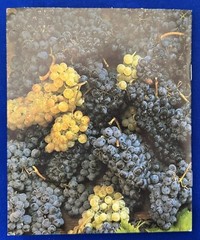 2004 Antica Fattoria La Castellina Winery Chianti Italy Brochure + Wine List