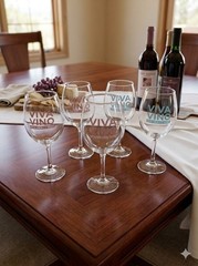 Set of 5 Viva Vino New Mexico Wine Festival 7&Prime; Glasses – Multi-Color Lettering