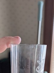 Naboth Vineyards Brocton NY New York Etched Small Glass Cup Grape Wine