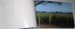 Opus One Winery Vineyards & Winemaking brochure, 2003, Michael Silacci winemaker