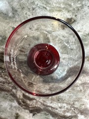 Nalewka Babuni Short-Stemmed Wine Glass, 8 fl oz Capacity PO-Excellent Condition