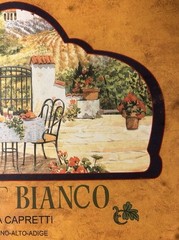 Framed Lithograph Print “Pinot Bianco Vigna Capretti Trentino-Alto…” 19.5×22.5