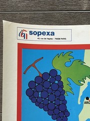 Vintage French Wine Poster Sud-Ouest France Vineyards SOPEXA 1970s Map