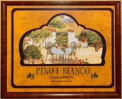 Framed Lithograph Print “Pinot Bianco Vigna Capretti Trentino-Alto…” 19.5×22.5