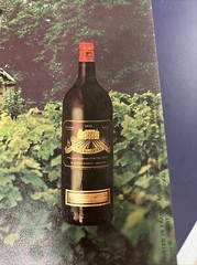 Vintage Original French Winery Wine Poster Chateau De Lescours 1970 28×20