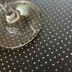 WILLIAMS SELYEM Estate Vineyard Schott Zwiesel Crystal Pinot Wine Glass PRISTINE