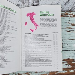 Vintage Italian Wine Guide with Foldout 1982 Italian Wine Center Product Booklet