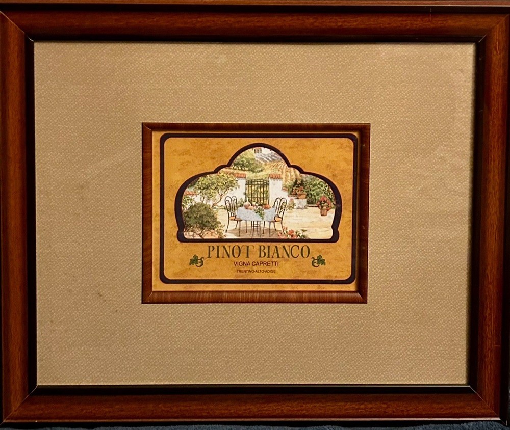 Framed Lithograph Print “Pinot Bianco Vigna Capretti Trentino-Alto…” 19.5×22.5