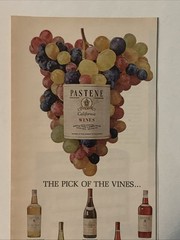 1965 Pastene California Wines PRINT AD Pick Of The Vines VTG 1960s Boston