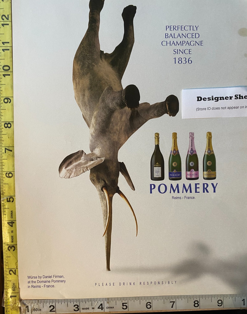 Pommery Champagne Elephant Scene Magazine Print Advertisement