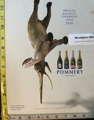 Pommery Champagne Elephant Scene Magazine Print Advertisement