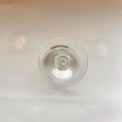 Morgan Hill Mushroom Festival Souvenir Wine Glass 2025