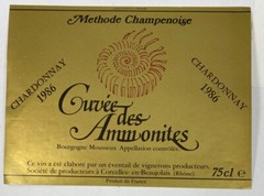 1986 Cuvee des Ammonites Chardonnay VTG Champenoise Wine Label French Specimen
