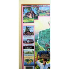 Napa Valley Wine Country Framed Poster Print Sutter Home Clarion Beringer & More