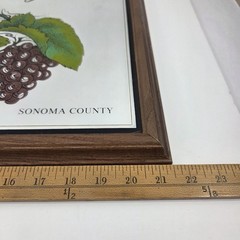 Bar Mirror Sonoma County Windsor California Vineyards Wine Country Wall Decor