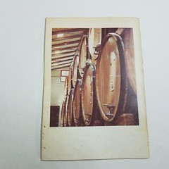 Italian Wine Guide 1977