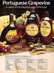 1973 Costa Do Sol Rose Wine Vtg Print Ad Portuguese Grapevine Mateus Lancers