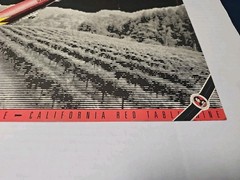 Red Zeppelin – Gotta Whole Lotta Wine 17 X 23 RARE Poster 🔥🔥