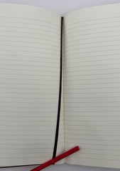 Krug Champagne Moleskine Burgundy Hardcover Lined Notebook – New