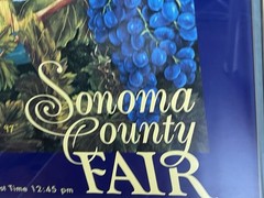 Vintage 2000 Sonoma County Fair “Wine Country Racing” Poster Horse Track Framed