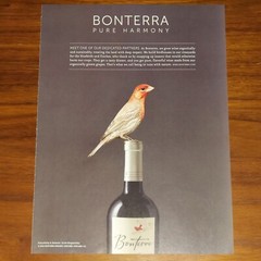 BONTERRA ORGANIC VINEYARD WINE PRINT AD MAGAZINE ADVERTISEMENT PURE HARMONY