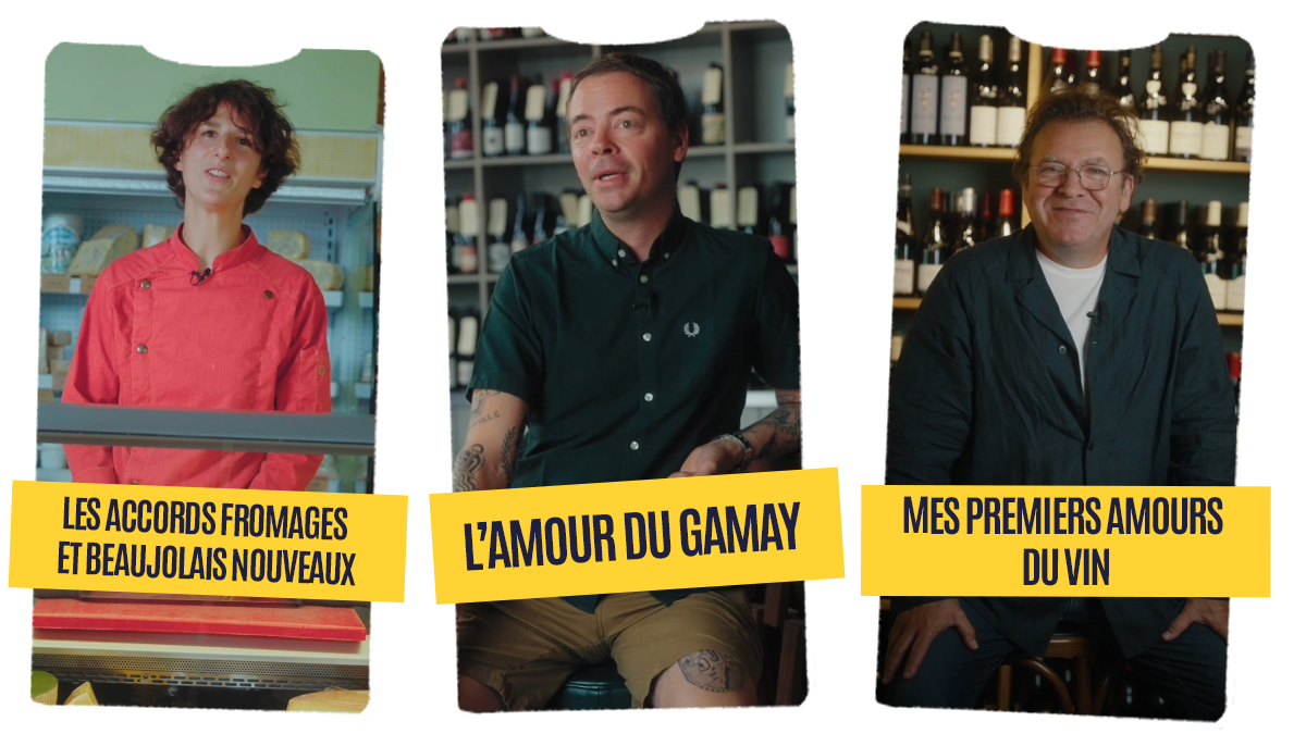 Les stories des beaujolais nouveaux