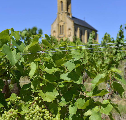 Beaujolais Nouveaux en été - © JB LAISSARD