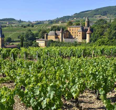 Beaujolais Nouveaux en été - © JB LAISSARD