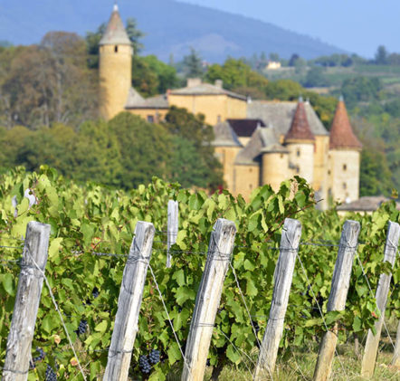 Beaujolais Nouveaux en été - © JB LAISSARD