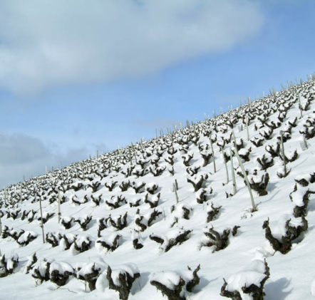 Beaujolais Nouveaux Hiver - © JB LAISSARD