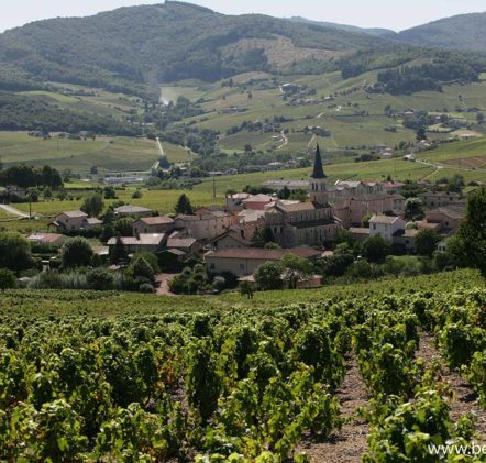 paysages beaujolais villages - © Daniel GILLET