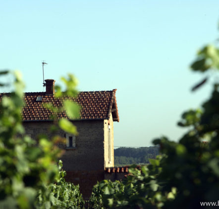 paysages beaujolais villages - © Daniel GILLET