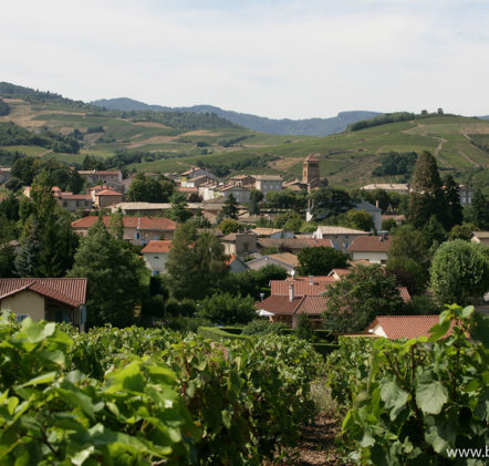 paysages beaujolais villages - © Daniel GILLET