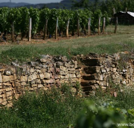 paysages beaujolais villages - © Daniel GILLET