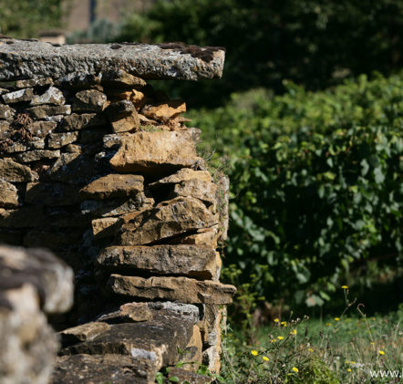 paysages beaujolais - © Daniel GILLET