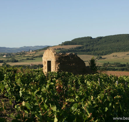 paysages beaujolais - © Daniel GILLET