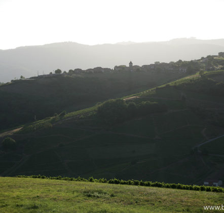 paysages beaujolais - © Daniel GILLET