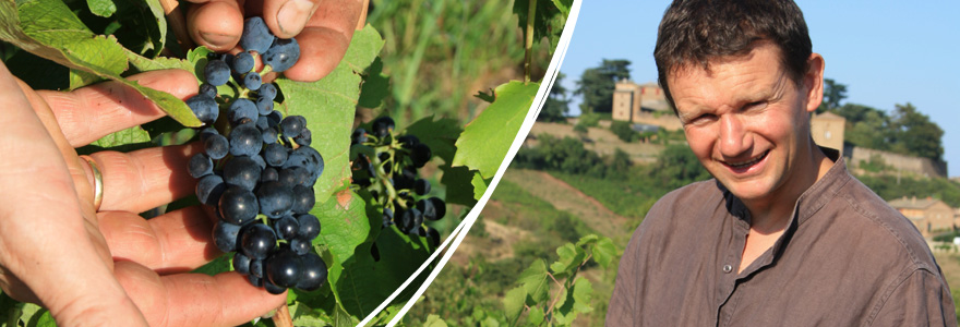 Vigneron du beaujolais Fellot