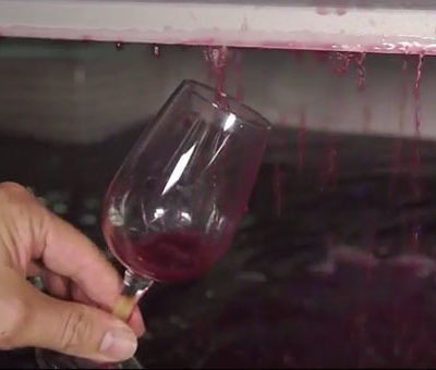 Vinification beaujolais nouveaux 2016