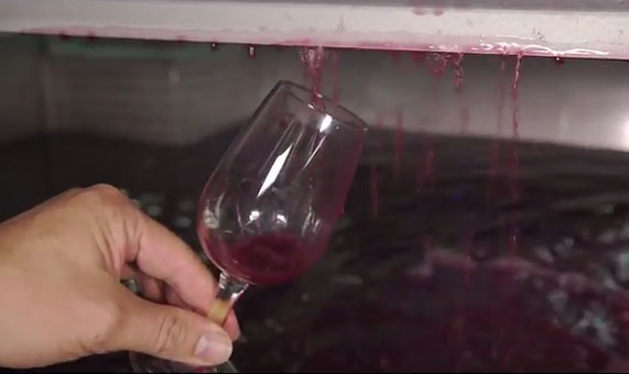 Vinification beaujolais nouveaux 2016