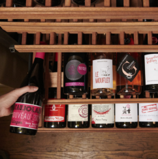 conseils dégustation beaujolais nouveaux